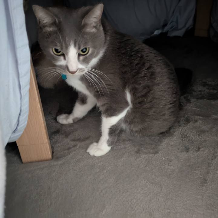 039231bb b2e1 4685 a875 a5743dceed21 1738463035797