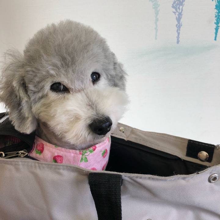 03923723 eed2 479e 8e12 3baf168607a6 1528673411985