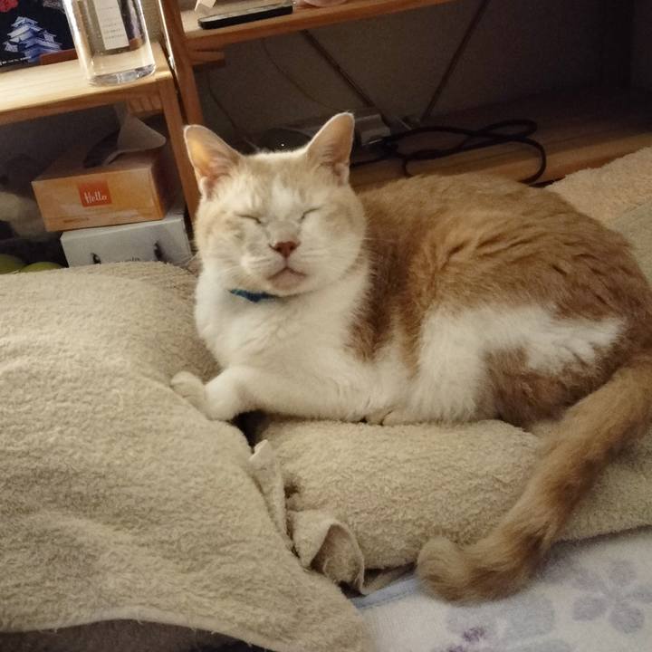 0392c0ec c15f 41d7 b427 6b17de623755 1665580217043