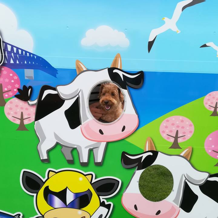 0392cf0f a017 4852 ae55 69f8b798af27 1532229405726