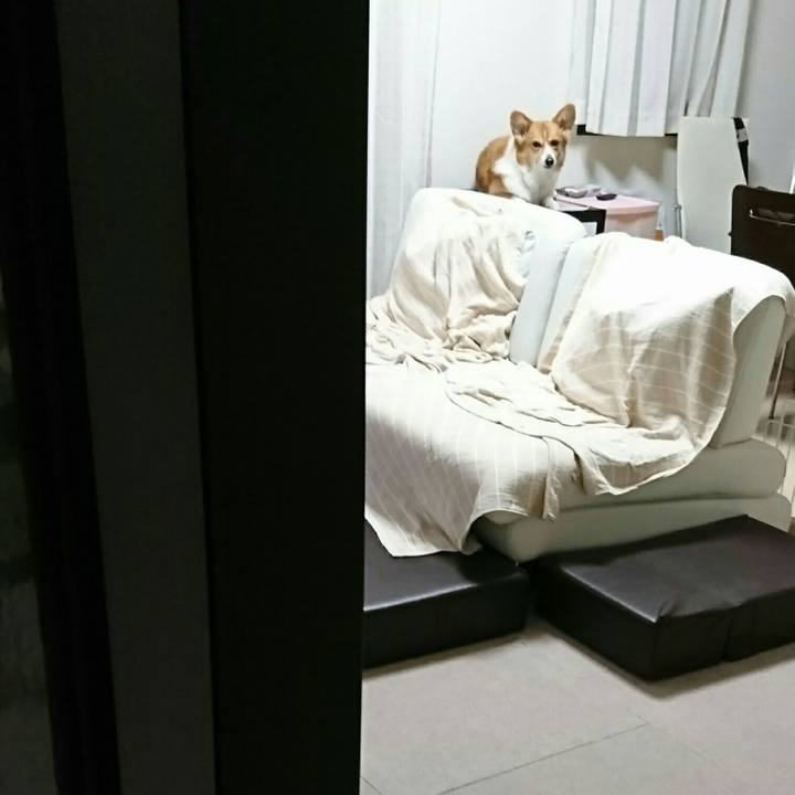 0392ff7a 6d6d 4643 9723 f6372f6d0c22 1540733560219