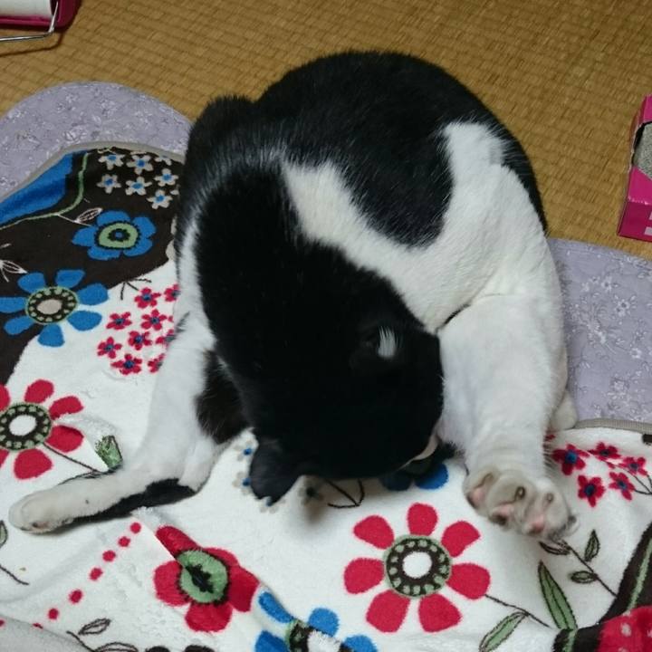 03933d40 e384 48a7 a863 e0065d2d507a 1523067869096