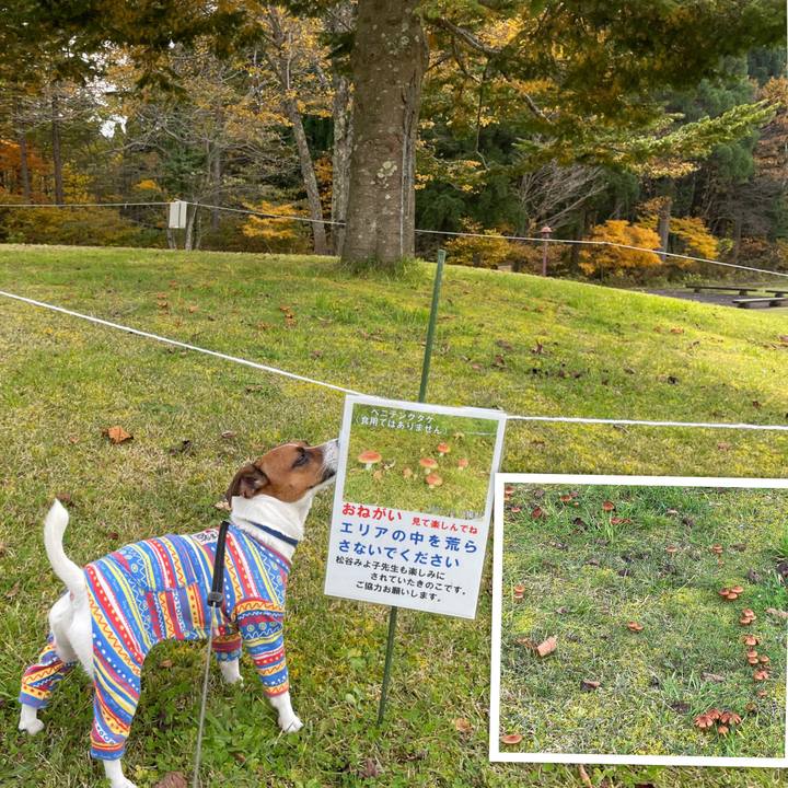 03934932 c09f 4dd6 8c98 43c269571ae1 1635749700506