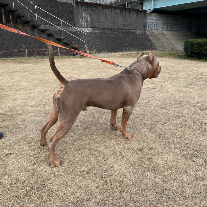 03935860 db7b 44e9 8972 fa80f15cb651 1674210855621