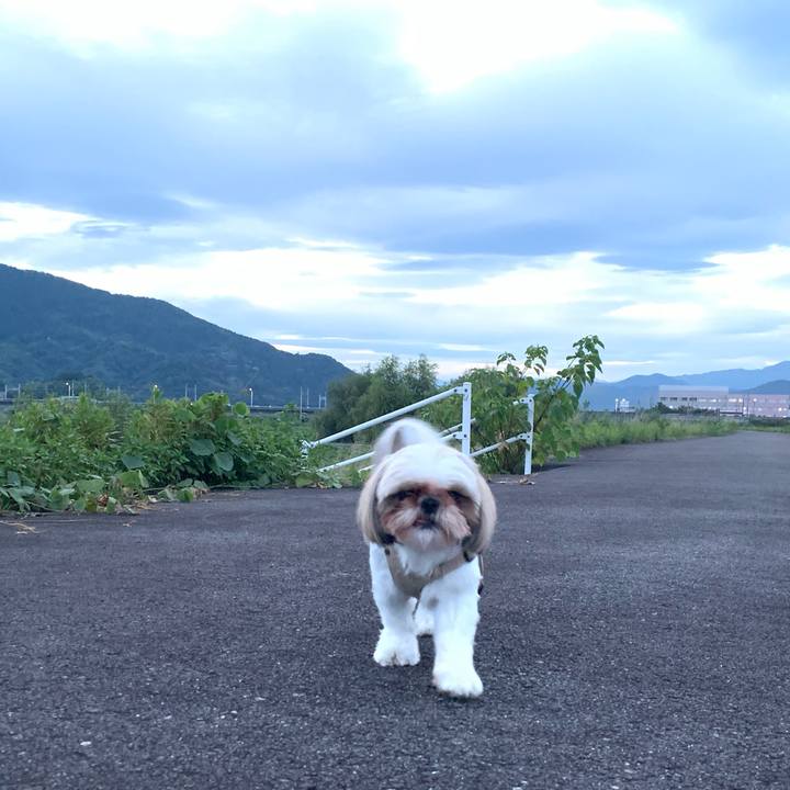 03935880 c16f 4532 8912 8aedd85be9d5 1629719468461