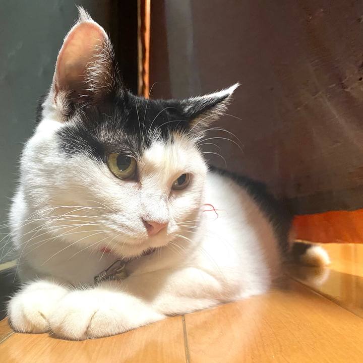 039359e1 530d 4814 b3f4 9c99559999b1 1757251271225