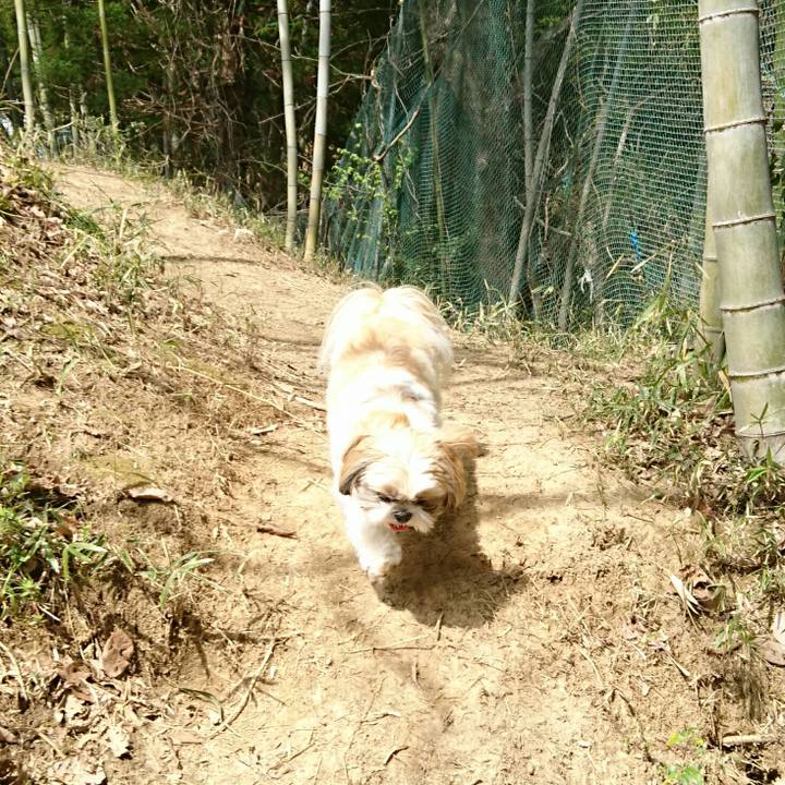 03935d56 82dc 4d59 a1d5 af22e12121f0 1522063824929