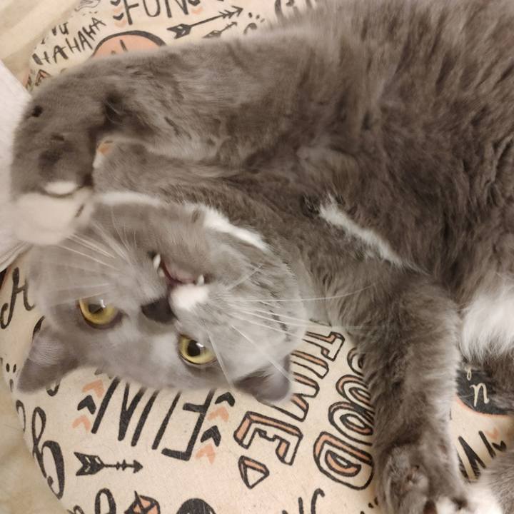 03938068 9a90 428e a9b9 b17bb35798bf 1608215759736