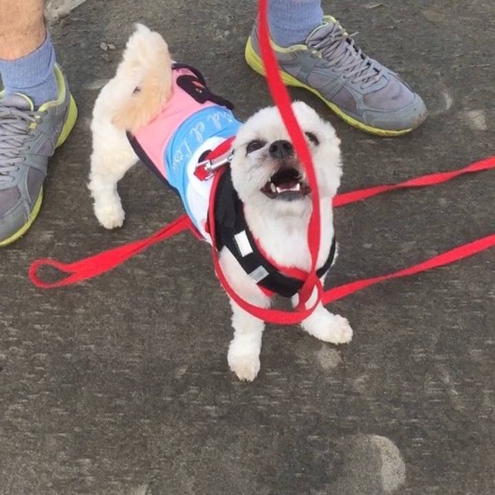 039389cf fcea 4681 ad2a 76742d528ea9 1525785430854