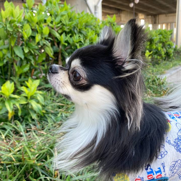 03938b1c f747 49d2 8e89 87c201b2d1ba 1618113469121