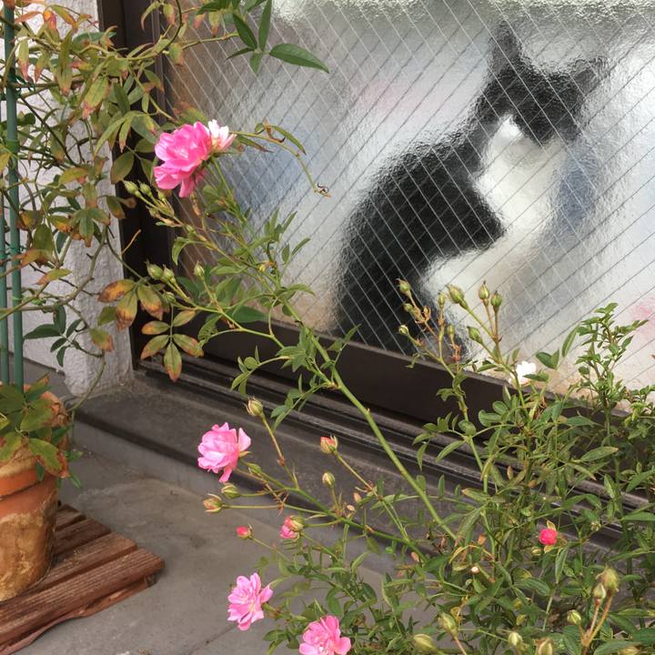 0393ca74 254a 42b7 b484 a90f8578b59a 1510637467274