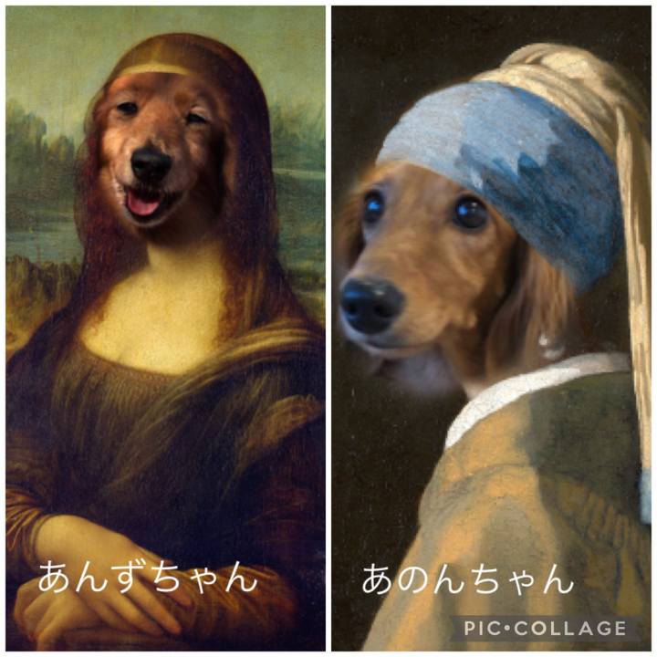 0393dd92 26fa 460f beb6 9ca435191f4f 1636709441935