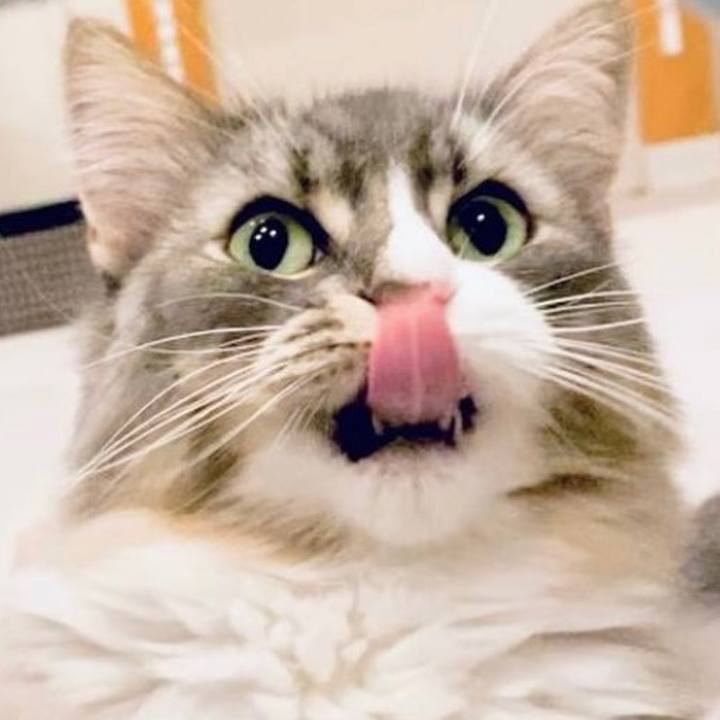 0393f918 6a92 46a6 b786 6ad0a6e2c238 1636737809489