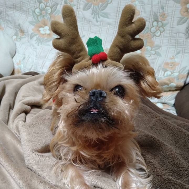 039401a8 b459 40f9 8ea9 08b14b1fbeb0 1607498958898