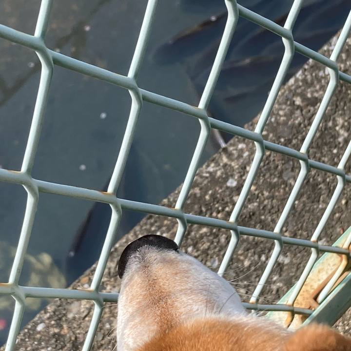 0394038d 238d 4b45 905d 390007ca73da 1680057279697