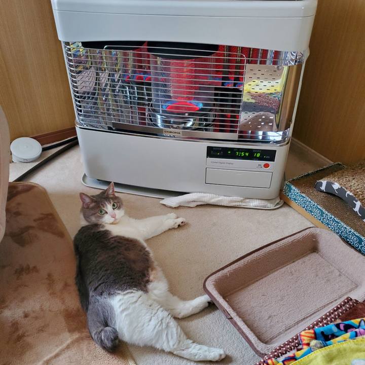 0394161b f634 4537 adc7 e4d79f9e275e 1723599572829