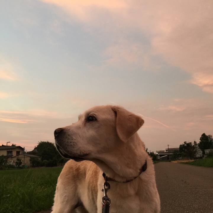 039439ca c0e1 4c81 ac6f b8b0c38522f2 1594816794602