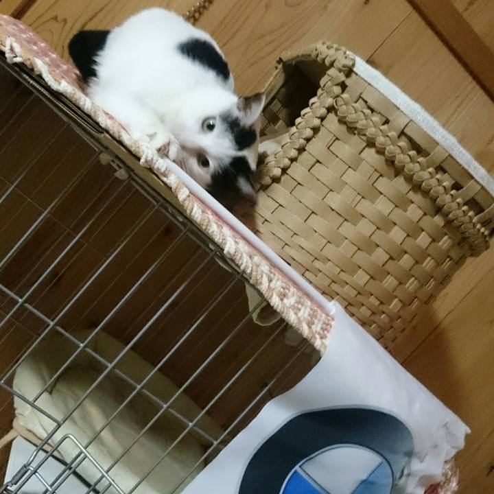 03945d9d 0664 4dd6 bdae 19b6b3824fc3 1518086867949