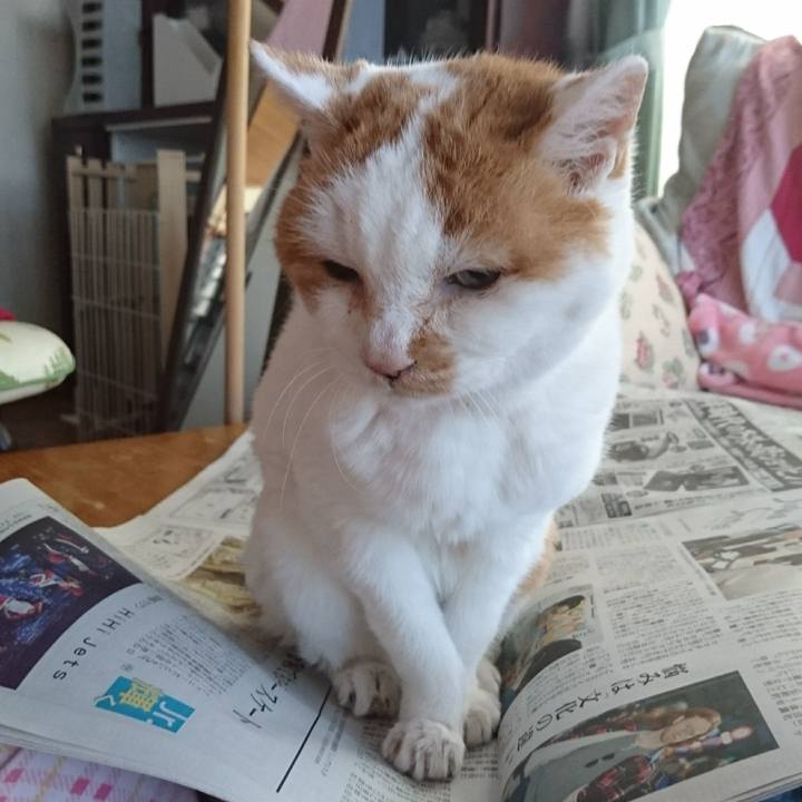 039461c0 4f4e 4b82 8898 bfbd8277895b 1556404911559