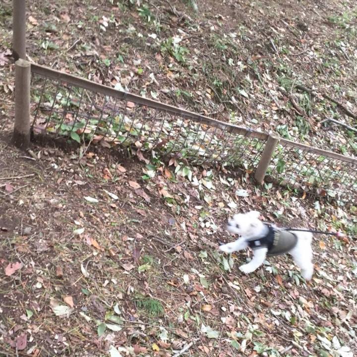 0394964a 017c 4af6 8e13 5b2b6a533e2f 1510046422230