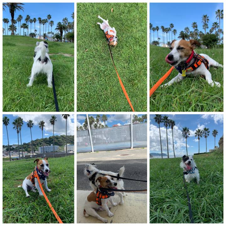 039535c1 49df 4bea 9a81 3dabc5509a54 1567818760910