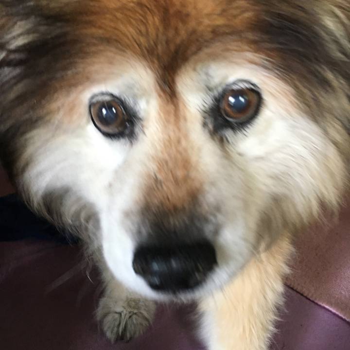 0395408d b296 4cc8 9373 56185ac6d58c 1569663334436