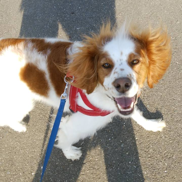 03958472 17fb 40b2 8109 09005ef1e396 1525437047144