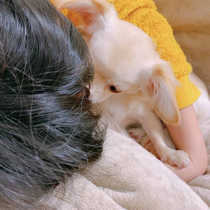 03959519 2fee 4f34 99d9 c4dee94b92ac 1611874189467