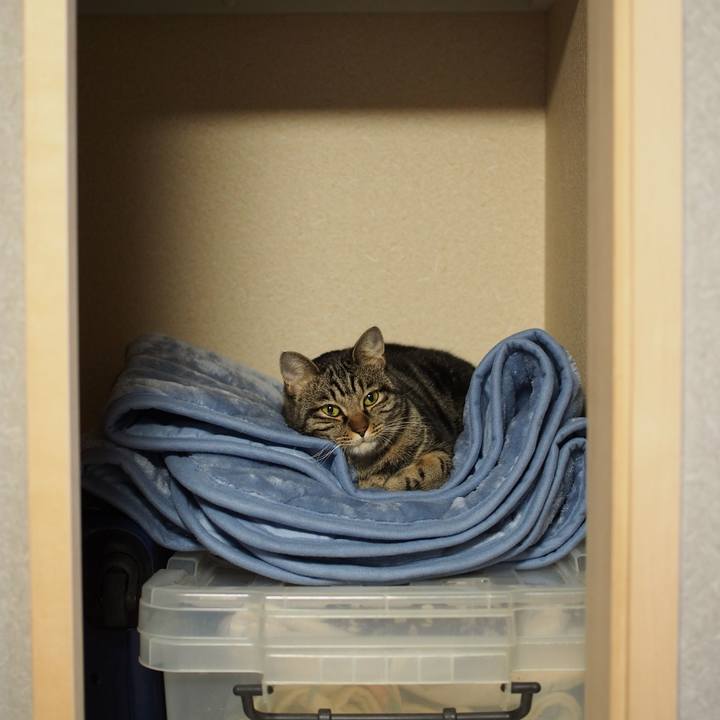 0395aca8 0af6 402e beb2 040cc5406278 1548732690582