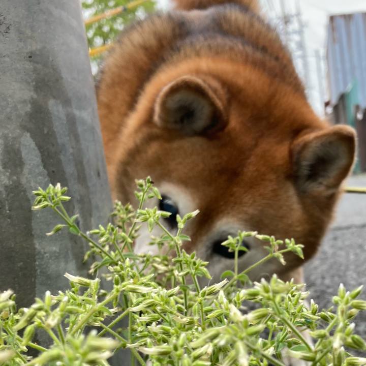 0395bbeb 21da 48ee a0a0 3eb05cfddf0f 1712880516084