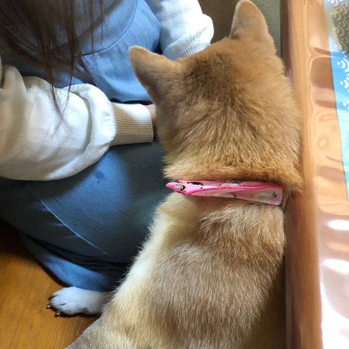 0395d980 88ed 48bf a61e 2e47d73b2fdf 1578034017195