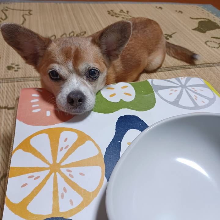 03966fe3 252e 437d 9974 22a5c87b0f8b 1760762743323