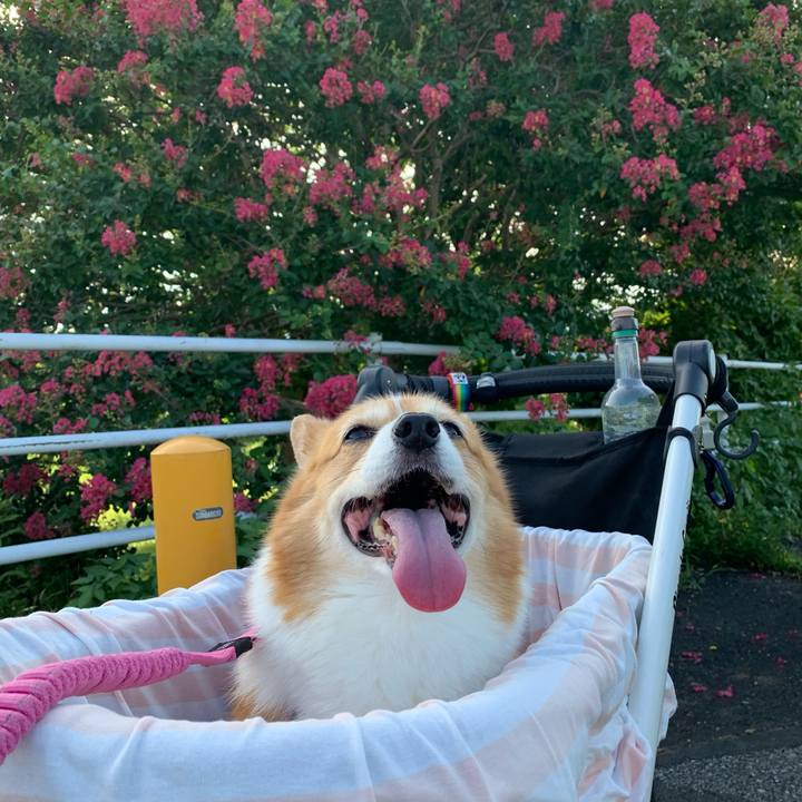 0396a766 7e9f 4d72 9cec 28dc1e48700e 1722468863503