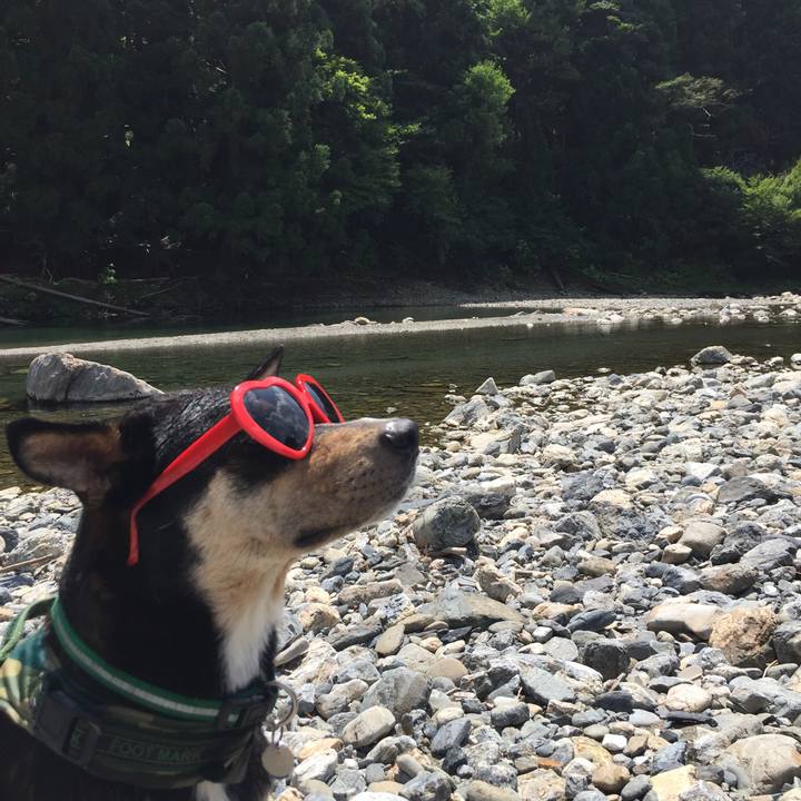 0396c016 b4a7 45b6 93a3 21b622eaf75a 1534249992127