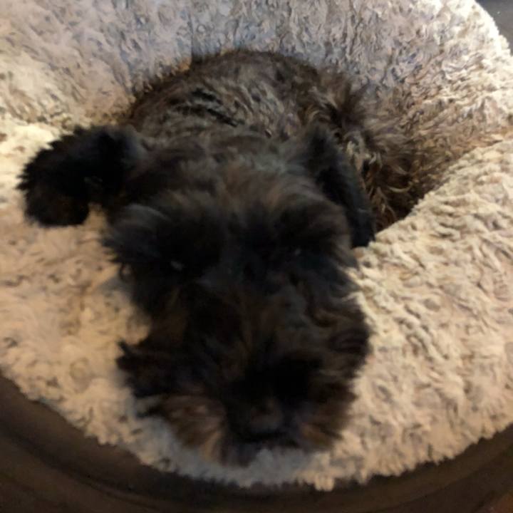 03970083 617a 46da be1a fa49b0954da4 1571984455109