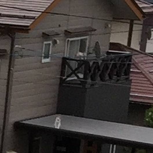 0397395c b869 4e26 9f83 231ddb3320eb 1535305587323