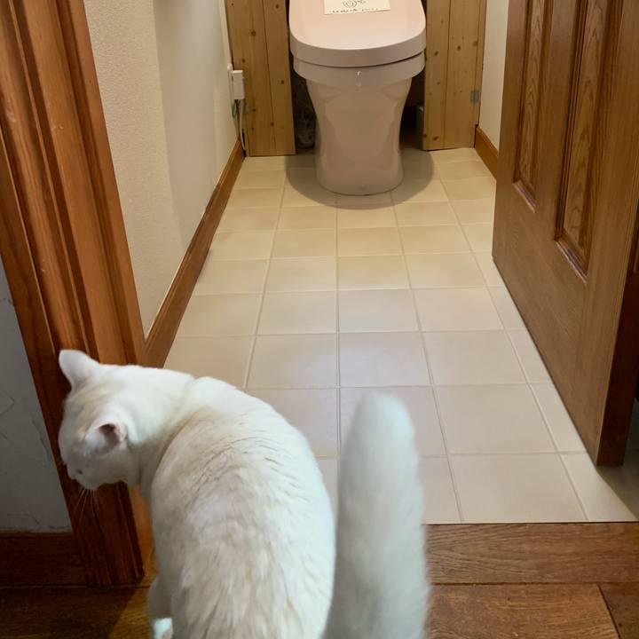 03974317 8cdf 492c acb1 56f81ccf58a1 1633156029891