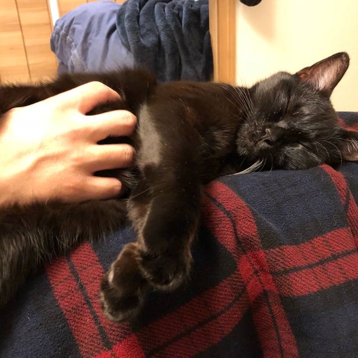 03977b41 1ac1 4a69 836d cb1c52b7180c 1517232061304