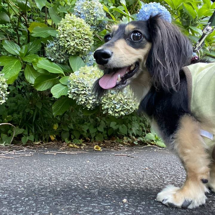 039780a3 80f2 47c5 a5e2 a4a80370e95f 1753483231152