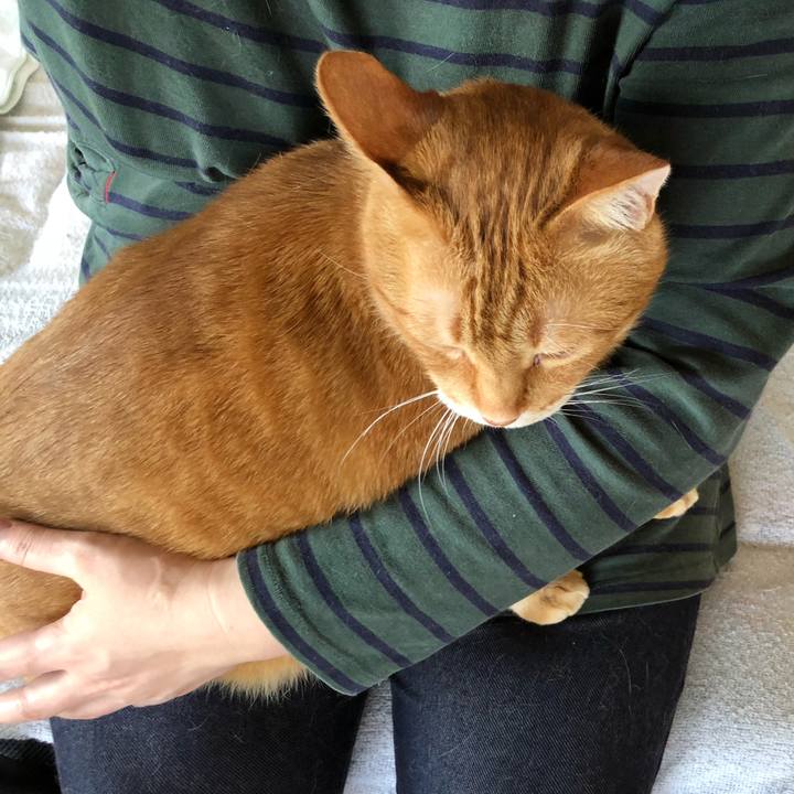 039783d5 ed17 4eb8 96d6 3c52b2b416c3 1620440632629