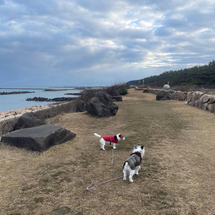 03979163 d9a9 4c5e 8706 301368890dfa 1707003584199