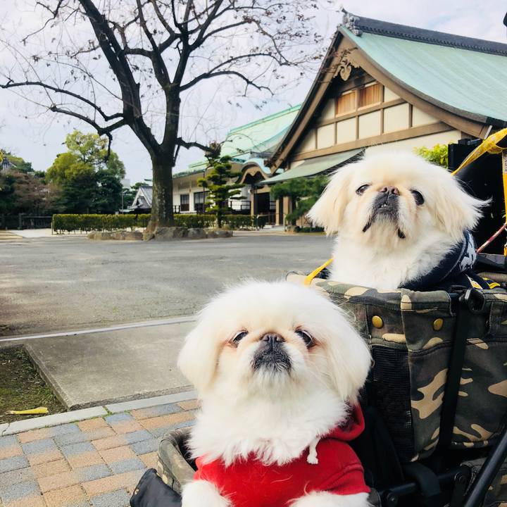 039797cb eb0b 4de3 8360 af3a0f541e8b 1616039563053