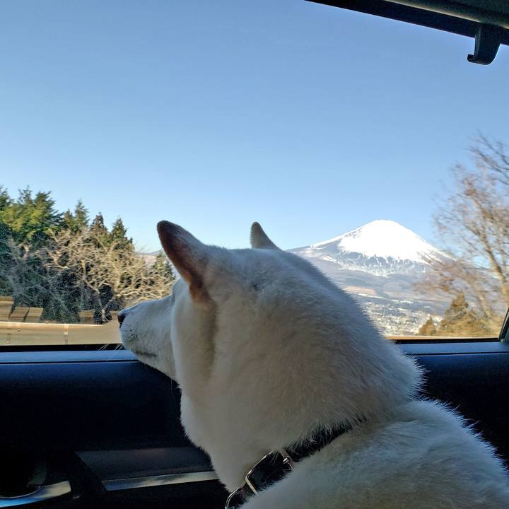 0397bed3 8bb1 4435 941b baf54201d108 1547862157583