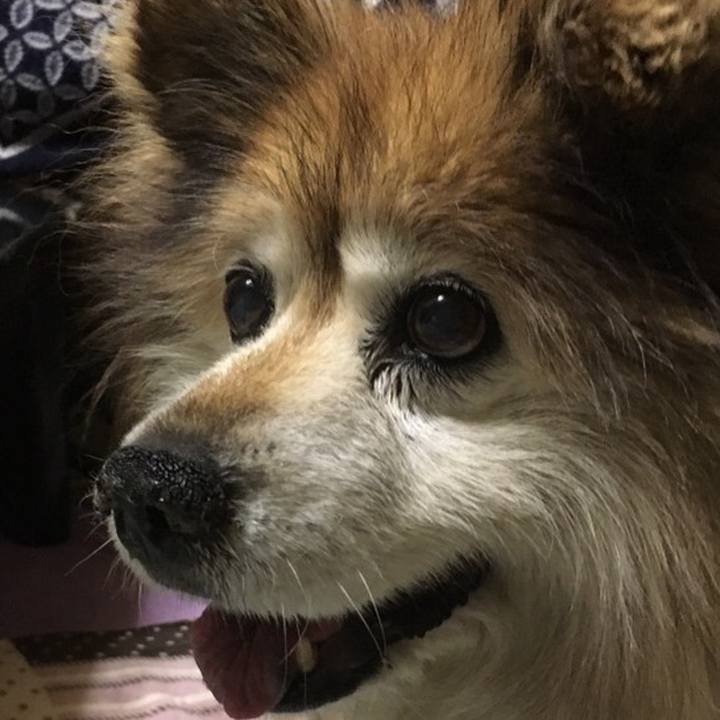 0397df9a 9c04 479a 8d00 1889709cd523 1615133780128