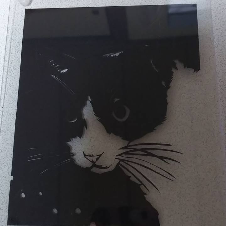 0397eeac 76b2 4d2d 9847 3bfd6f10158e 1574248670012