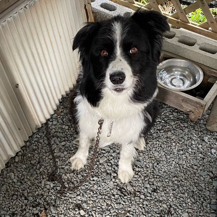 0398098e 9ec9 49fa 8a18 6e74fc12f89b 1602115886901