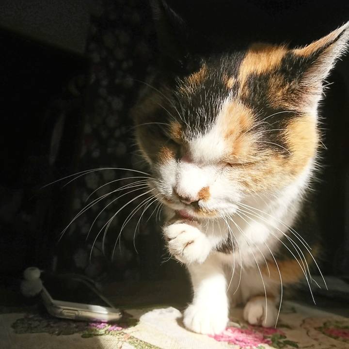 03981196 30ec 4546 96ed 292751a95cad 1571788563050