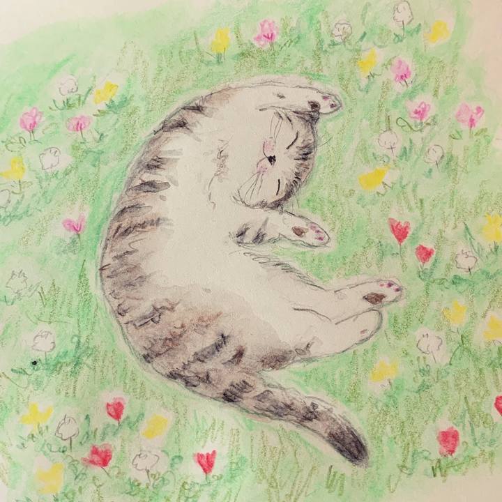 039816d3 acb0 4e12 94ea 9d0fa870d711 1653309160685