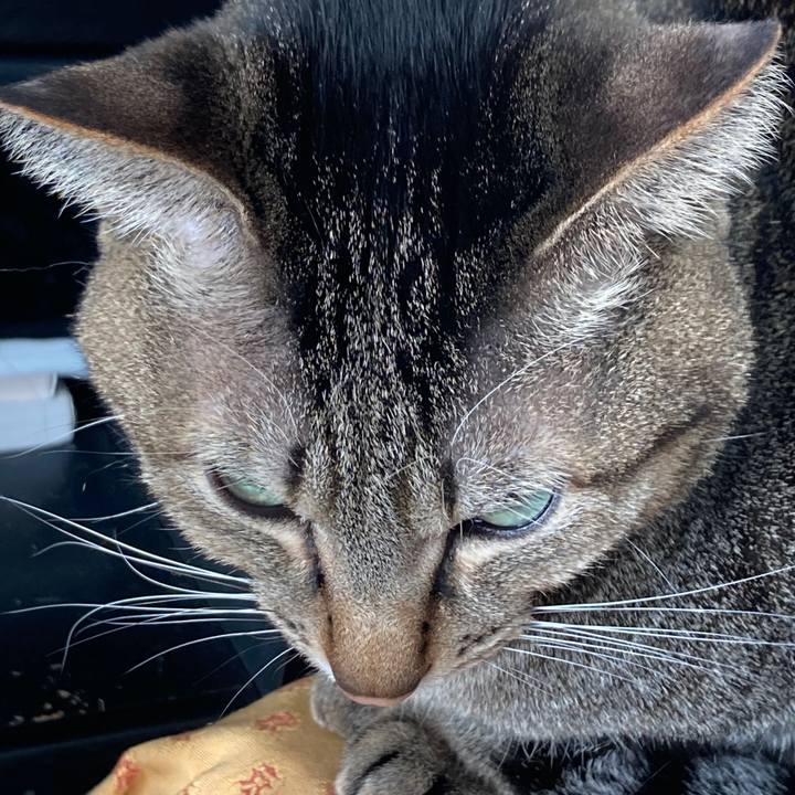 039835e0 4642 46b1 85a4 21b52b34b121 1768965447237