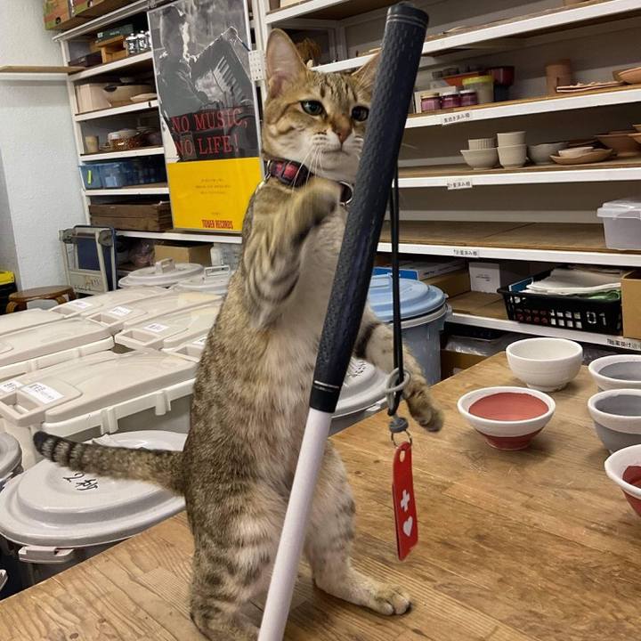 0398646f 0208 4ca8 b1c6 f64221df835f 1623853536601